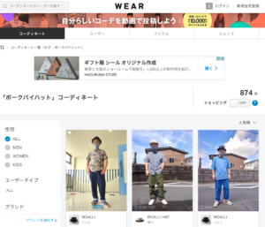 wear_ポークパイハット